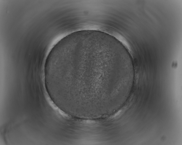 X0000092251088200709281139