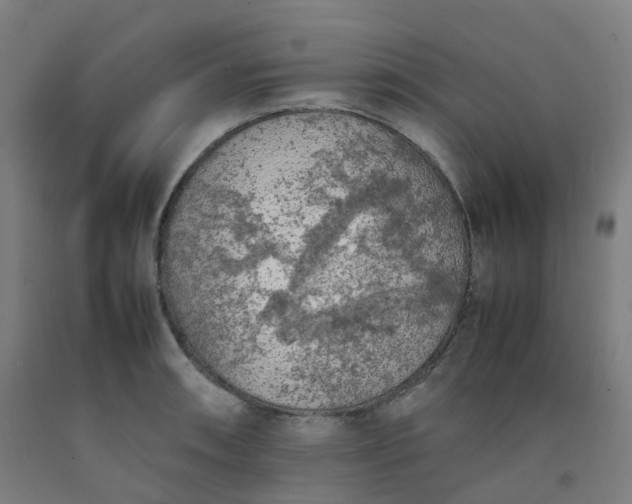 X0000092251090200709281139