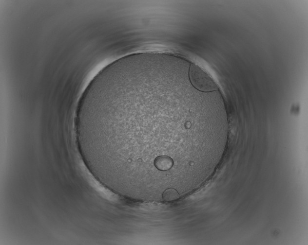 X0000092251091200709281139