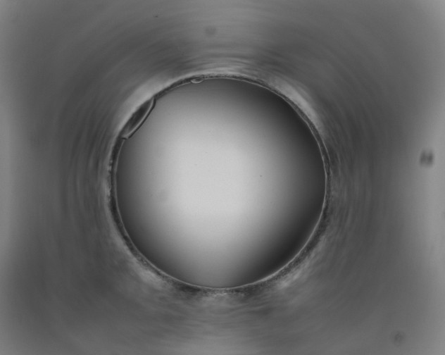 X0000092251093200709281139