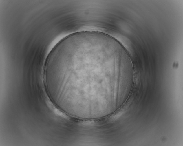 X0000092251094200709281139