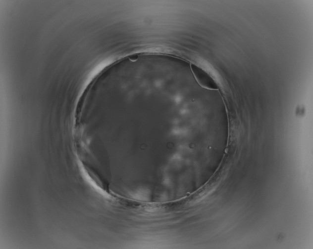 X0000092251095200709281139