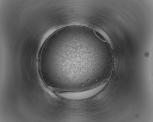 X0000092251096200709281139