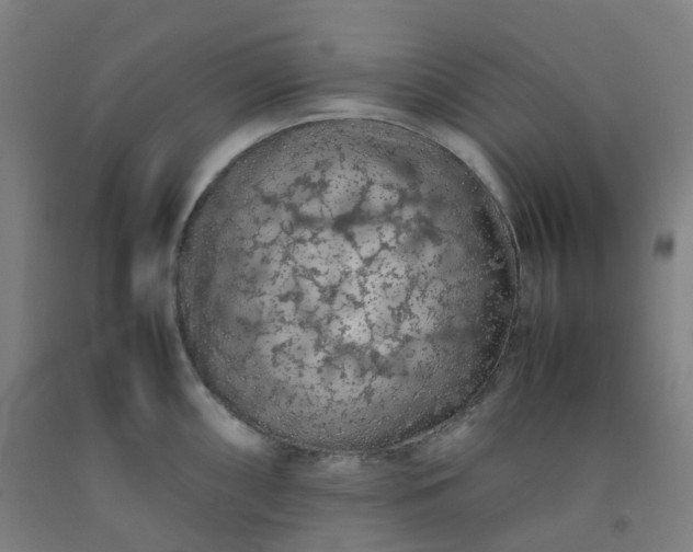 X0000092251098200709281139