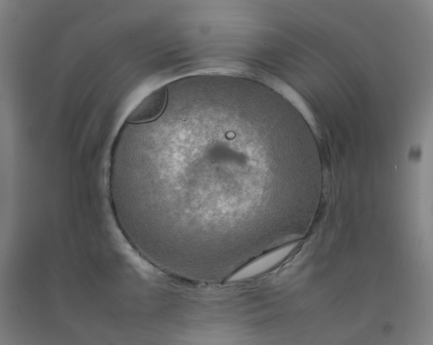 X0000092251099200709281139