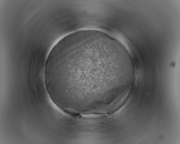 X0000092251100200709281139