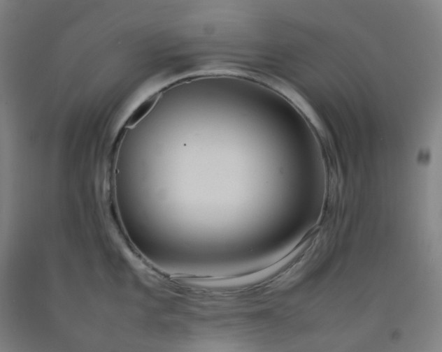 X0000092251101200709281139