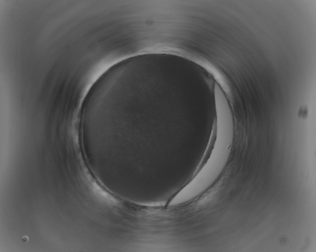 X0000092251102200709281139