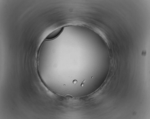 X0000092251103200709281139