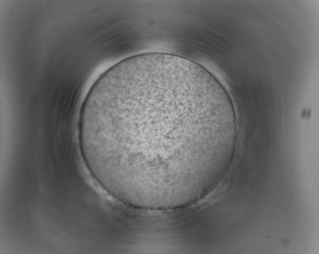 X0000092251104200709281139