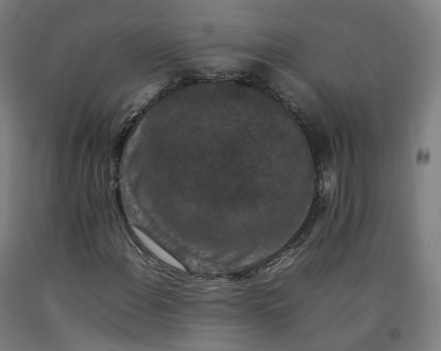 X0000092251108200709281138