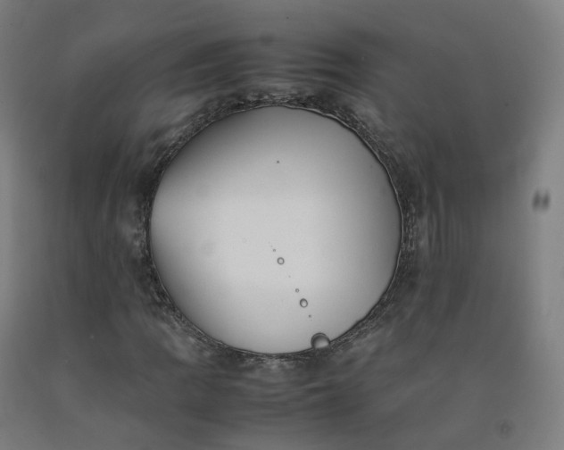 X0000092251109200709281138