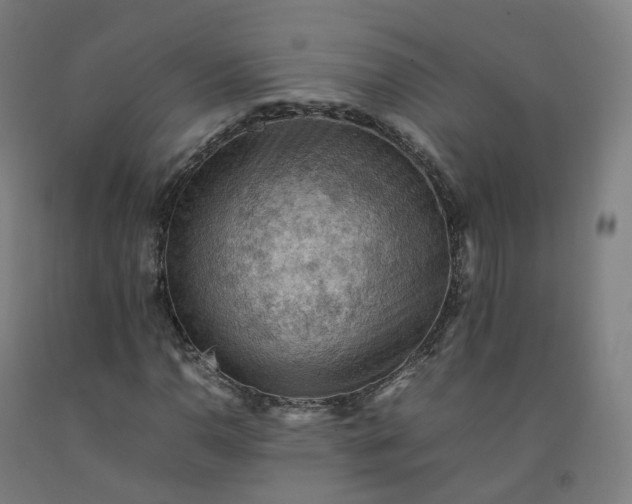 X0000092251110200709281138