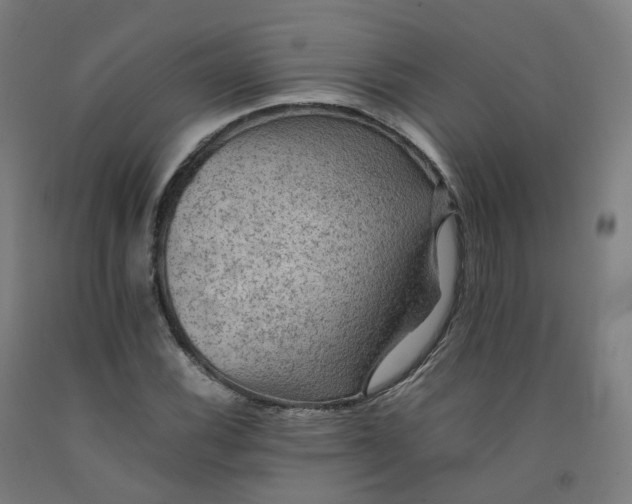 X0000092251116200709281138