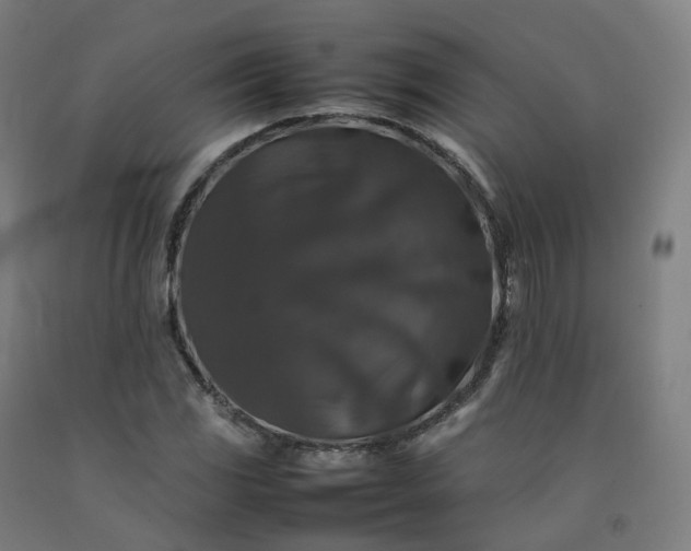 X0000092251117200709281138