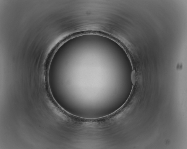 X0000092251118200709281138