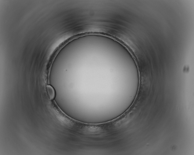 X0000092251119200709281138