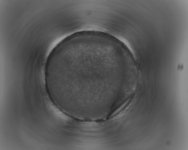 X0000092251120200709281138