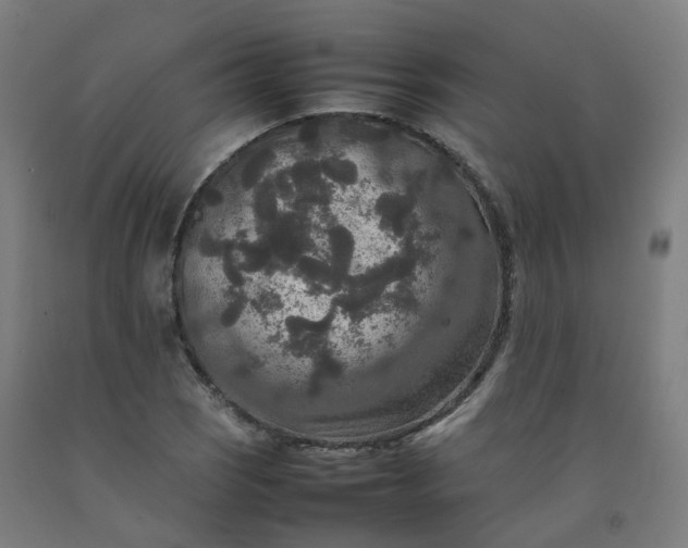 X0000092251121200709281138