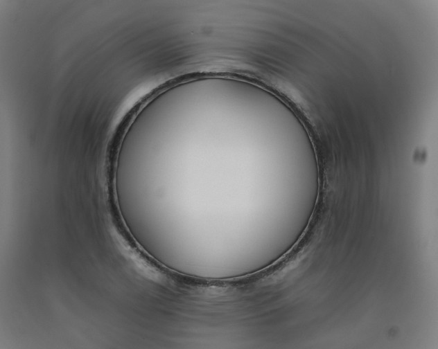 X0000092251122200709281138