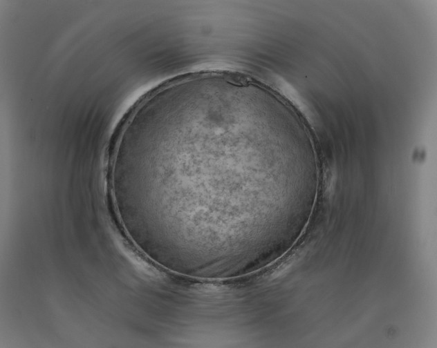 X0000092251124200709281139