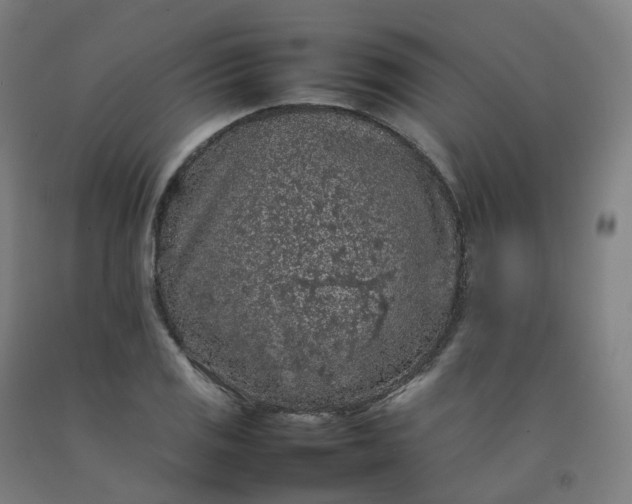 X0000092251125200709281139