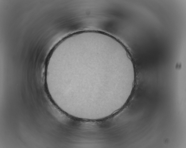 X0000092251126200709281139