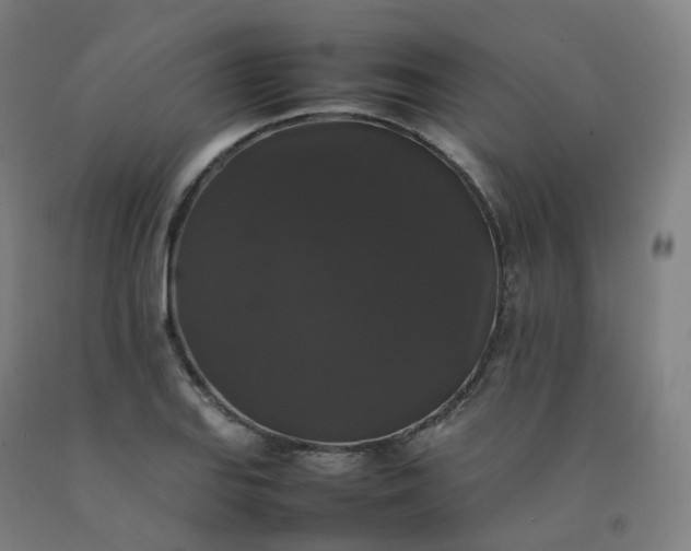 X0000092251127200709281139