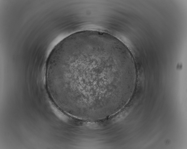 X0000092251128200709281139