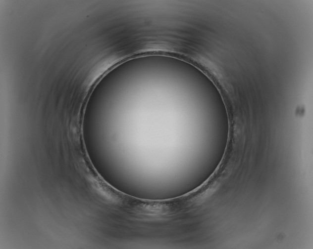 X0000092251129200709281139