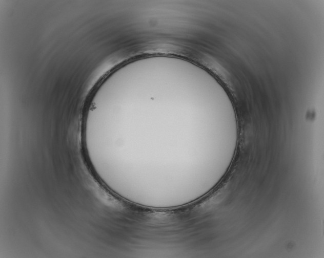 X0000092251130200709281139