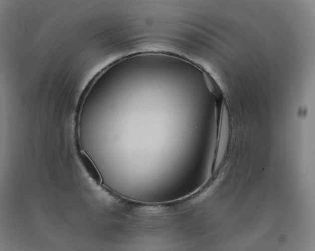 X0000092251134200709281139