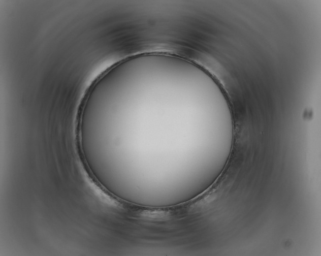 X0000092251135200709281139