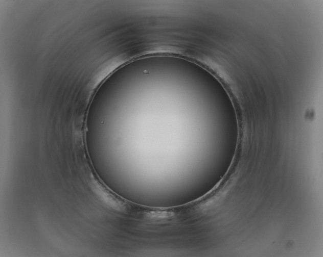 X0000092251137200709281139