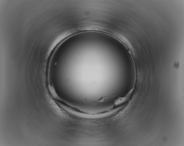 X0000092251138200709281139