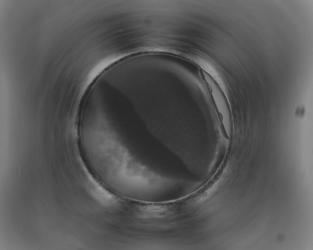 X0000092251141200709281139