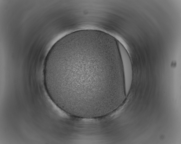 X0000092251142200709281139