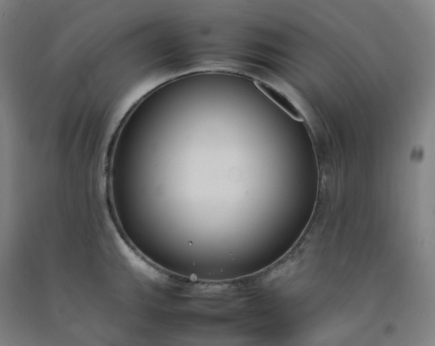 X0000092251143200709281139