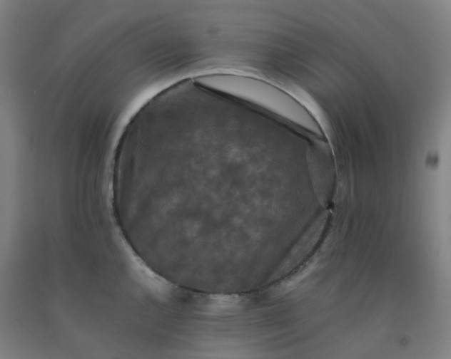 X0000092251144200709281139