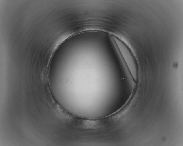 X0000092251145200709281139