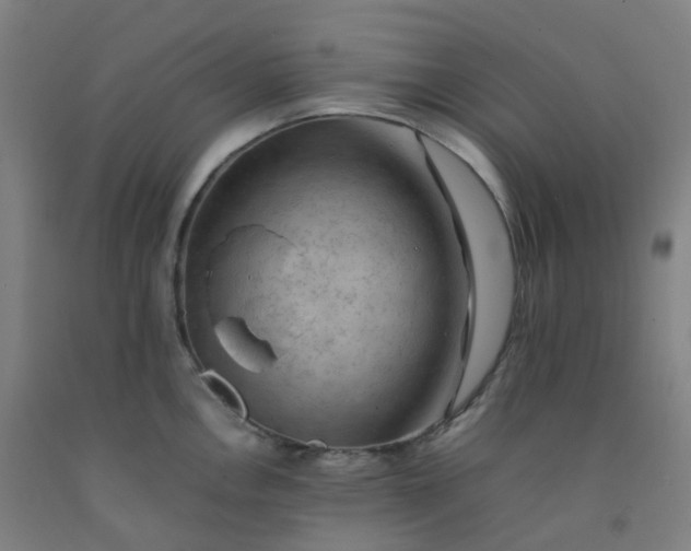 X0000092251146200709281139