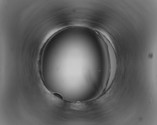 X0000092251147200709281139