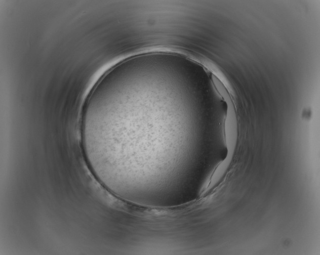 X0000092251148200709281139