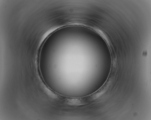 X0000092251149200709281139