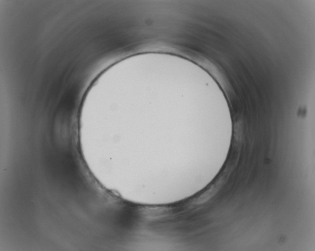 X0000092251150200709281139