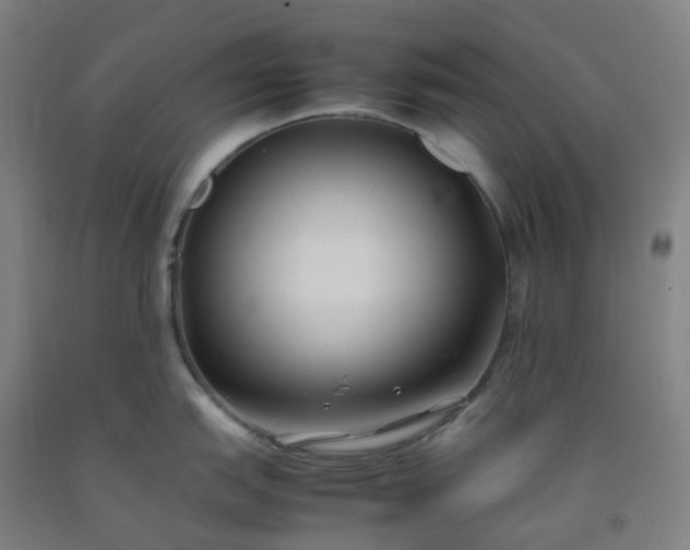 X0000092251151200709281139