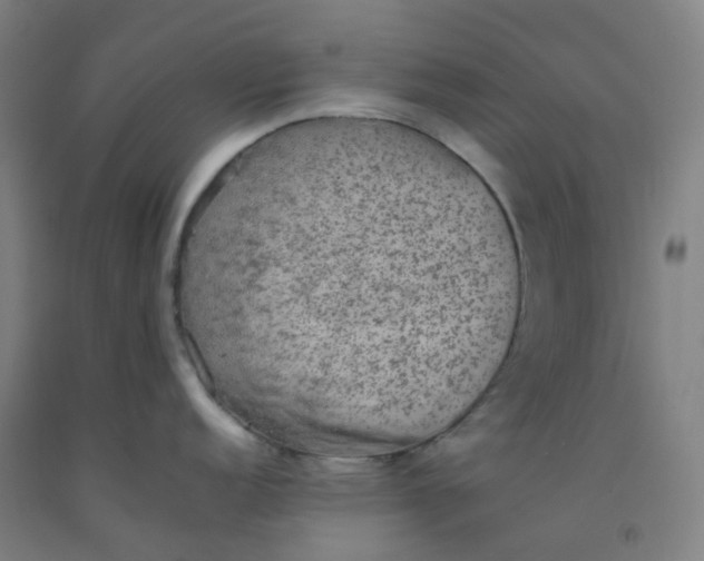 X0000092251152200709281139