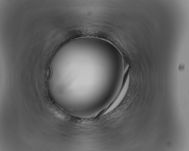 X0000092251153200709281138