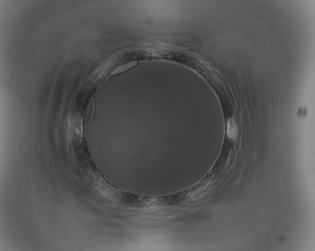 X0000092251155200709281138