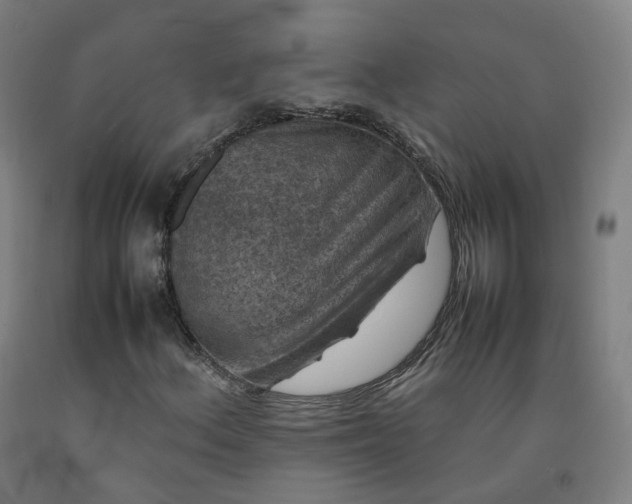 X0000092251156200709281138